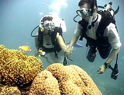 Underwater weddings