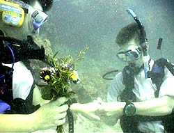UW-Wedding