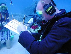 Underwater wedding