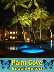 Palm Cove Beach Resort