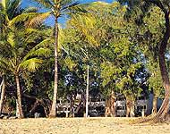 Marlin Waters