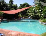 Oasis Palm Cove