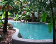 Palm Cove Tropic Apartments