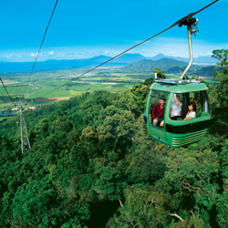Palm Cove Tours Palm Cove Tours