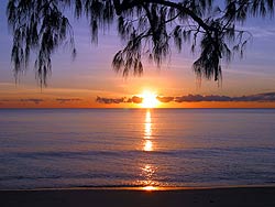 Palm Cove Beach - Sunrise