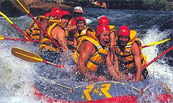 Cairns Rafting