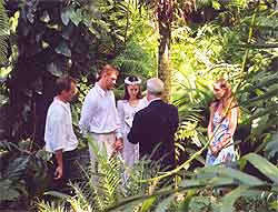 Rainforest Wedding