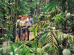 Skyrail Tour Kuranda