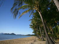 Palm Cove Beach