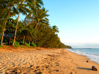 Palm Cove Beach
