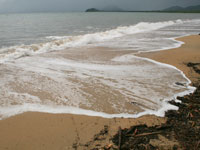Palm Cove Beach