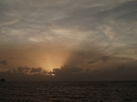Palm Cove Beach