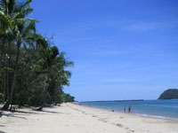 Palm Cove Beach