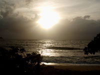 Palm Cove Sunrise