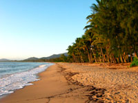 Palm Cove Beach