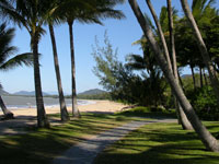 Palm Cove Beach