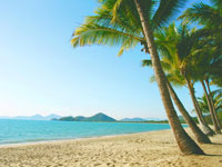 Palm Cove Beach - South View