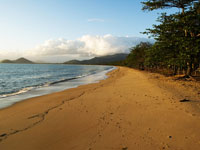Palm Cove Beach