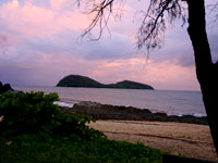Palm Cove Playground