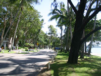 Palm Cove Esplanade