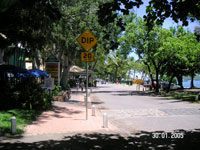 Palm Cove Esplanade