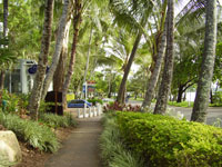 Palm Cove Gardens
