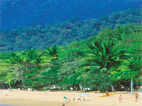 Palm Cove Mountains