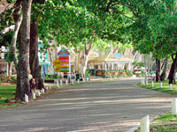 Palm Cove Streets